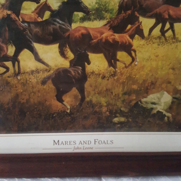 John Leone - Canyon Mustangs & Mare and Foals - Picture 5 of 5